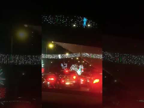 الله يحبش يا الإمارات