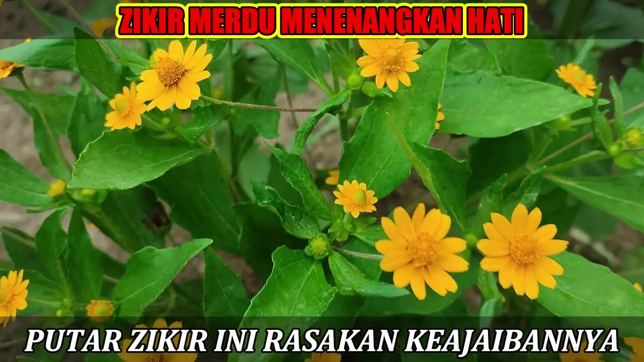 #blurvideo PELARISAN DAGANGAN SECARA ISLAM - PERBANYAK ZIKIR AGAR REZEKI BERLIMPAH & HIDUP BERKAH