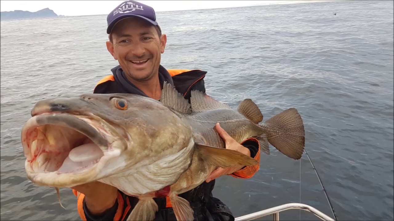 Cannes Travel SMITH OLPS