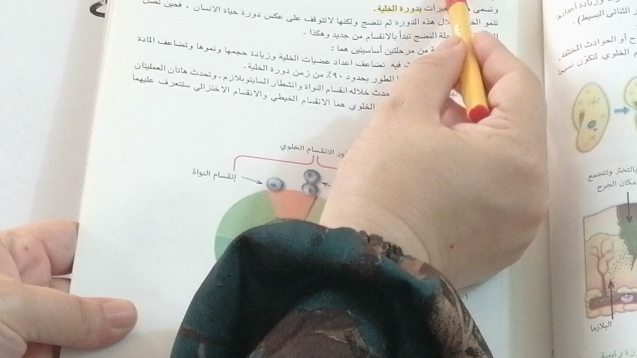 حل اسئلة الفصل الثاني /الاول المتوسط/الانقسام الخلوي/المحاضرة الثانية عشر