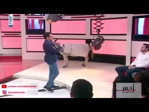 انا حمار متلي متلك اشترك بس وشكرا