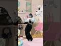 ヨウカイダンス in YU's room🧸 #未完成ブレイブ #ミカブレ #ヨウカイ #ヨウカイダンス #ダンス #踊ってみた #オリジナル曲 #newsong