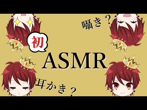 【ASMR？】初のASMRに挑戦！健全です！