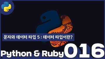 16 Python & Ruby   문자와 데이터 형 5  데이터 타입이란
