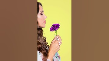 Drop Shadow Effect in AliveColors!