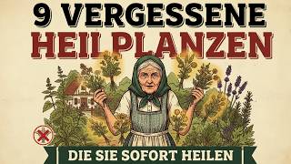 9 Vergessene Heilpflanzen, Die Ärzte Nicht Kennen Wollen Heile Dich Selbst Mit Der Natur