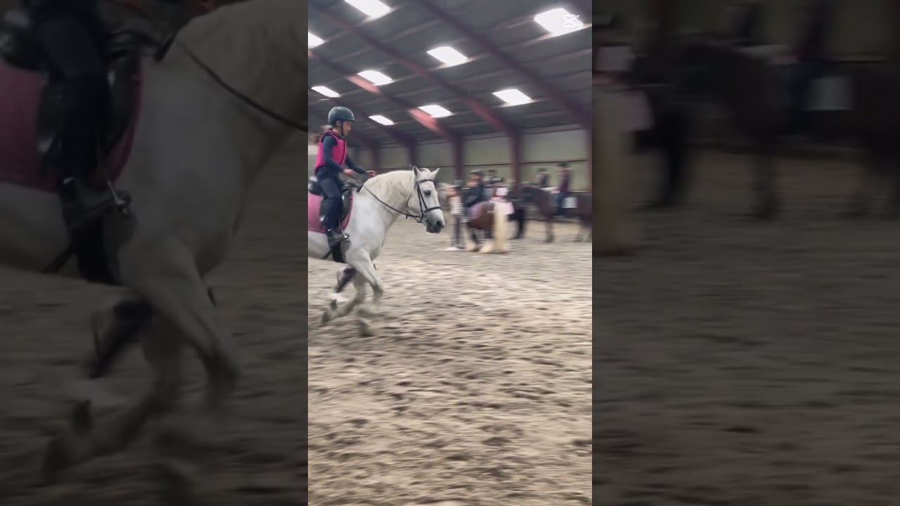 Hun var så god i gallop men faldt af!!🤍🤍 