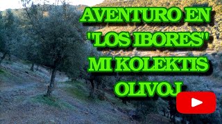 Aventuro en “Los Ibores” Mi kolektis olivoj #Esperanto