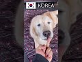 КТО УЛЫБНУЛСЯ ИЛИ ЗАСМЕЯЛСЯ? - КУСЬ! ) ) )