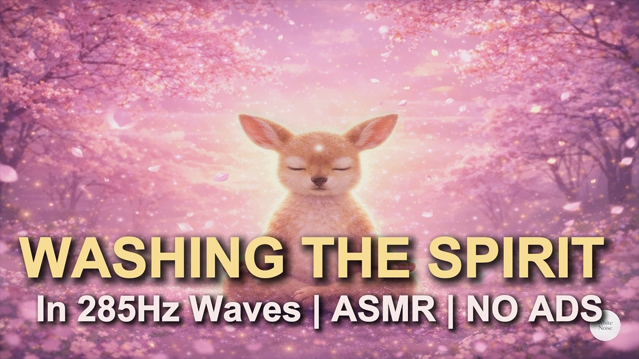 [White Noise] Washing the Spirit in 285Hz Waves ASMR No Ads