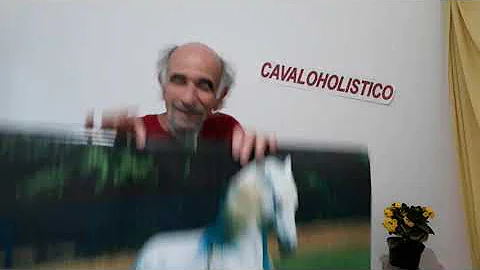 Quem pode fazer o curso de equoterapia?