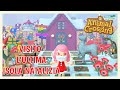 VISITO L' ISOLA NATALIZIA PIU' BELLA DI SEMPRE 🎄❄️ANIMAL CROSSING NEW HORIZONS