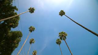 Quarantinedlos Angeles Episode 1