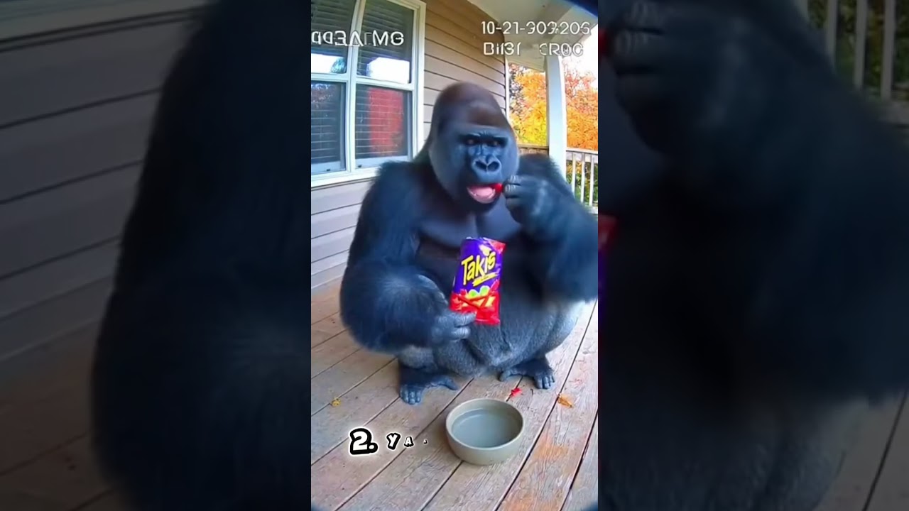 FUNNY AI Animals Eating Spicy Food 🔥 | Hilarious Hot Food Moments Compilation 😂🐾 