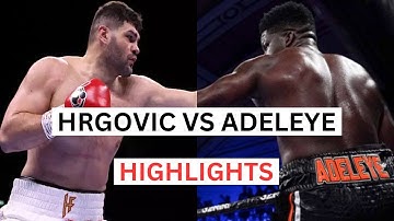 Filip Hrgovic vs David Adeleye Highlights & Knockouts