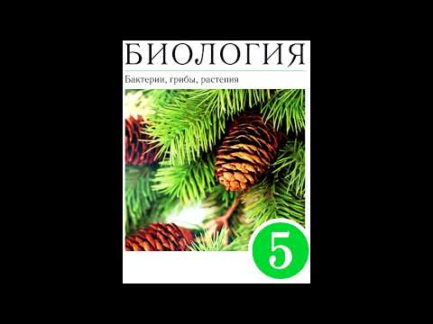 § 9 Жизнедеятельность клетки, её деление и рост