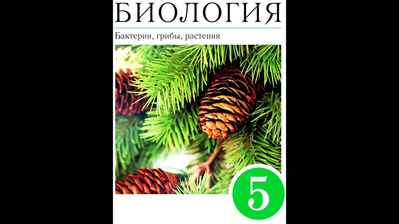 § 9 Жизнедеятельность клетки, её деление и рост - YouTube