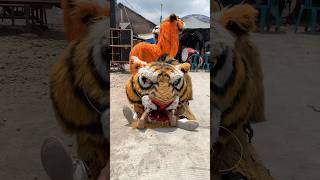 Barongan Macan Nyaplok Bocah Lagi