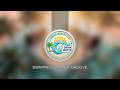 SWAYING COCONUT GROOVE
