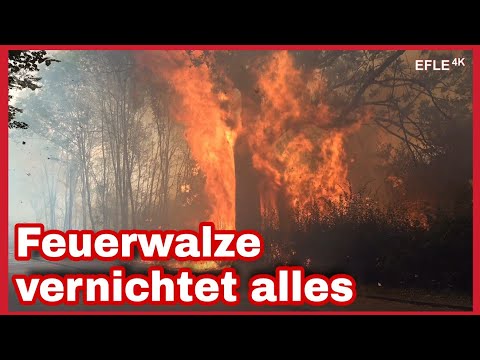 [FEUERHÖLLE AM KULKI!] Großeinsatz für die Feuerwehr Leipzig bei glühender Sommerhitze