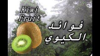 ? Kiwi Fruit || تعرف على فاكهة الكيوي