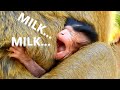 MILK...MILK...WHERE IS MY MILK ?? BABY NEWBORN NOT CRYING BUT SHE FEELS AS SLEEP AND SO HUNGRY