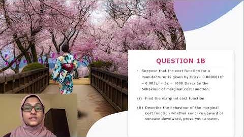 A211 BEEQ1013: Introduction to Mathematical Economics - 284550 Siti Rowlatul Janna