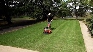 First Reel Mow on My Ryegrass Seed // Week 2 Seed Results