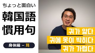 ちょっと面白い韓国語の慣用句 身体編 耳 韓国語講座 Youtube ちょっと面白い韓国語の慣用句 身体編 耳 韓国語講座 Youtube