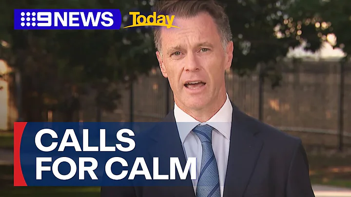 NSW Premier calls for calm following Wakeley church terror attack | 9 News Australia - DayDayNews