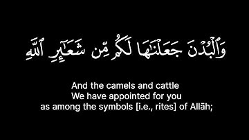 كروما شاشه سوداء | { والبدن جعلناها لكم من شعائر الله } سورة الحج: 36 | ياسر الدوسري Sourate Al Hajj