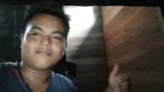 Suara walet andalan memo 5