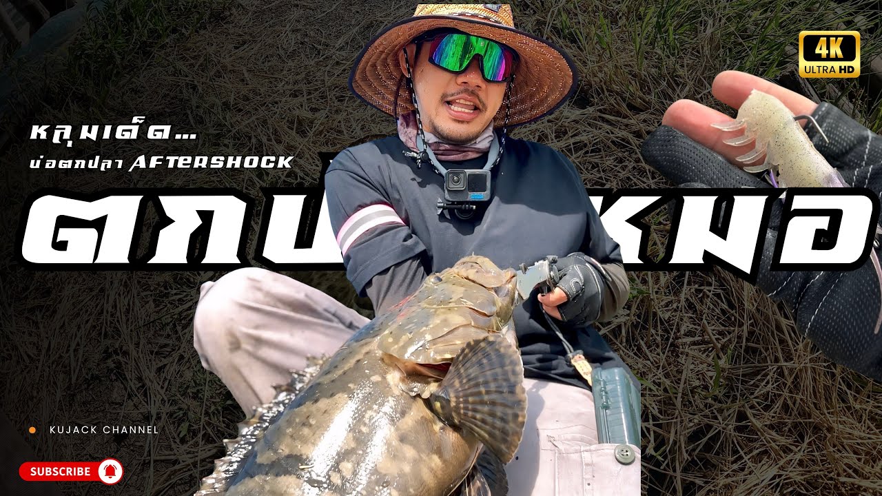 แมตซ์ตกปลาเก๋าบุฟเฟ่ | หมอทะเลลูกผสม | บ่อตกปลาอาฟเตอร์ช๊อก | ตกปลาเก๋า | บ่อตกปลาเก๋า | บ่อบุฟเฟ่ต์