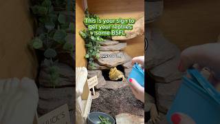 His Little Brain Cell Working So Hard.