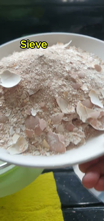 Egg shell powder in 30 seconds #shorts