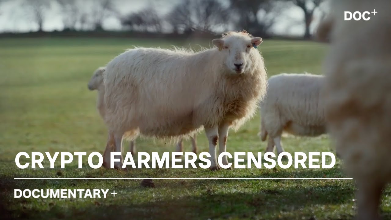 20 Best Crypto Movies to add to your watchlist [Updated]