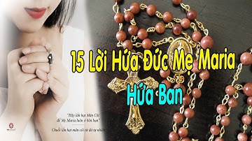15 Lời Hứa Đức Mẹ Maria Hứa Ban Cho Những Ai Lần Chuỗi Mân Côi