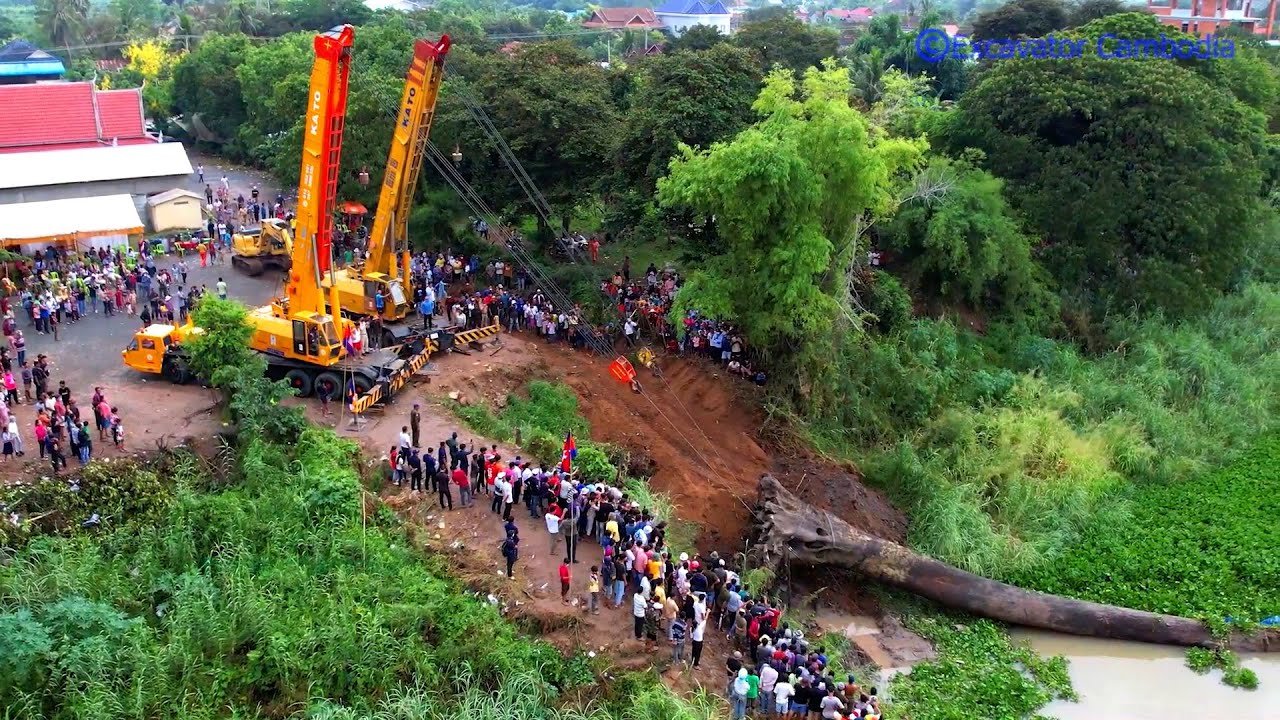 Impressive Double Crane & Excavator Use Power Recovery Tree Sink In Water 100 Year Ago Successfully