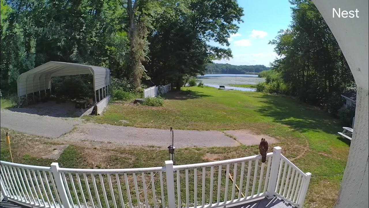 Moodus reservoir raptor YouTube