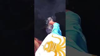 Snook jumps out of water for shrimp in girls hand! 😲