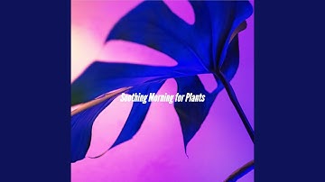 Friendly Moods for Chasing Perfection