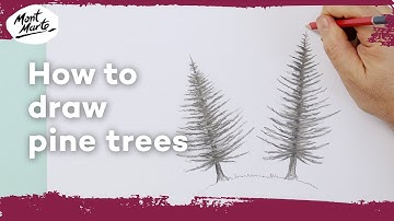 How to draw pine trees