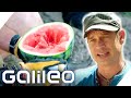 30.000 Kg täglich - Harro schuftet bei der Wassermelonen-Ernte | Galileo | ProSieben