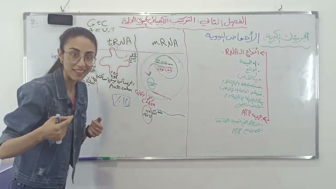 أنواع RNA وجزيئة الطاقة ATP
