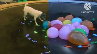Spaz Attacks Water Balloons Full Version Effects