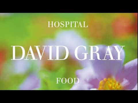 David Gray - Crimson Lightning (Official Audio)