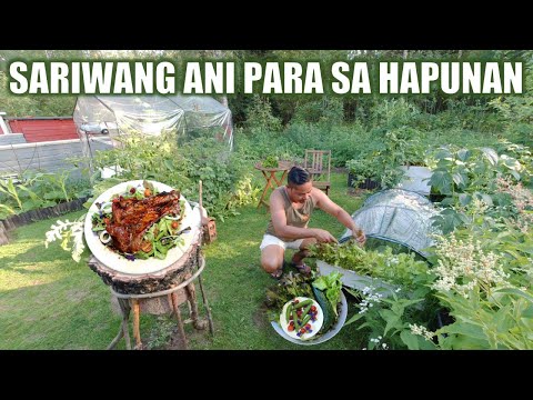 Video: Mga Herbs Para sa Pag-ihaw: Pagpapalaki ng Hardin ng Mga Herb Para sa Mga Karne at Marinade