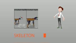 RIGGING and ANIMATION Demo-Reel 2016