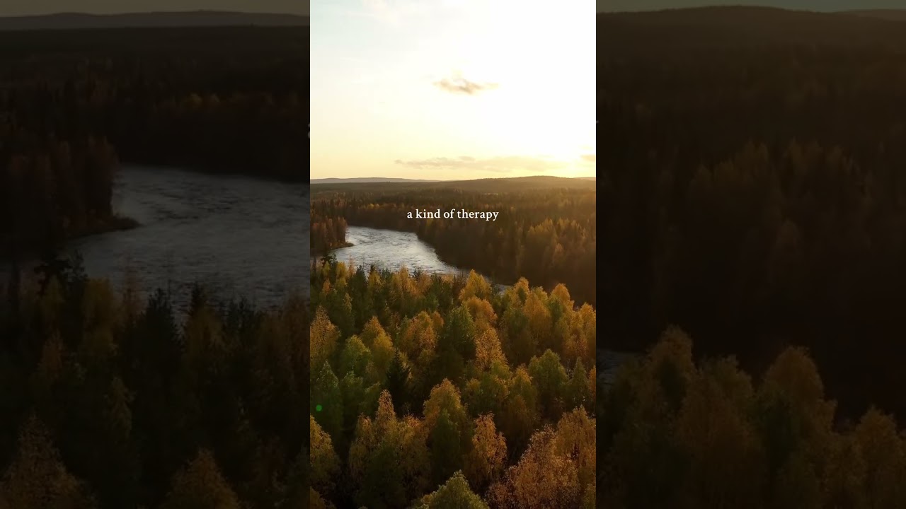 ✨ The landscapes of Lapland ✨