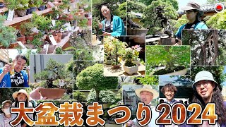 The world's largest bonsai festival! Omiya Bonsai Festival 2024 is amazing! ! ! [Bonsai Q]